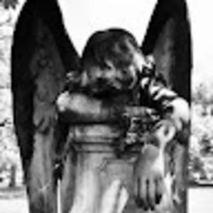 Meet your Posher, Little